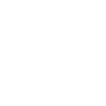 Licente Digitale